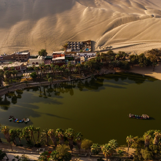 Buggy Dunas Ica